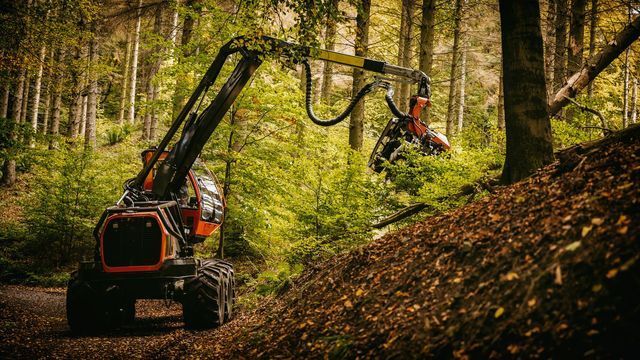 Tracked forestry harvester with a felling head clearing trees on a wooded slope