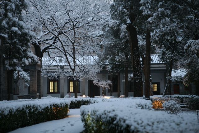 Snow-covered trees and clipped hedges in a lit courtyard after a winter storm